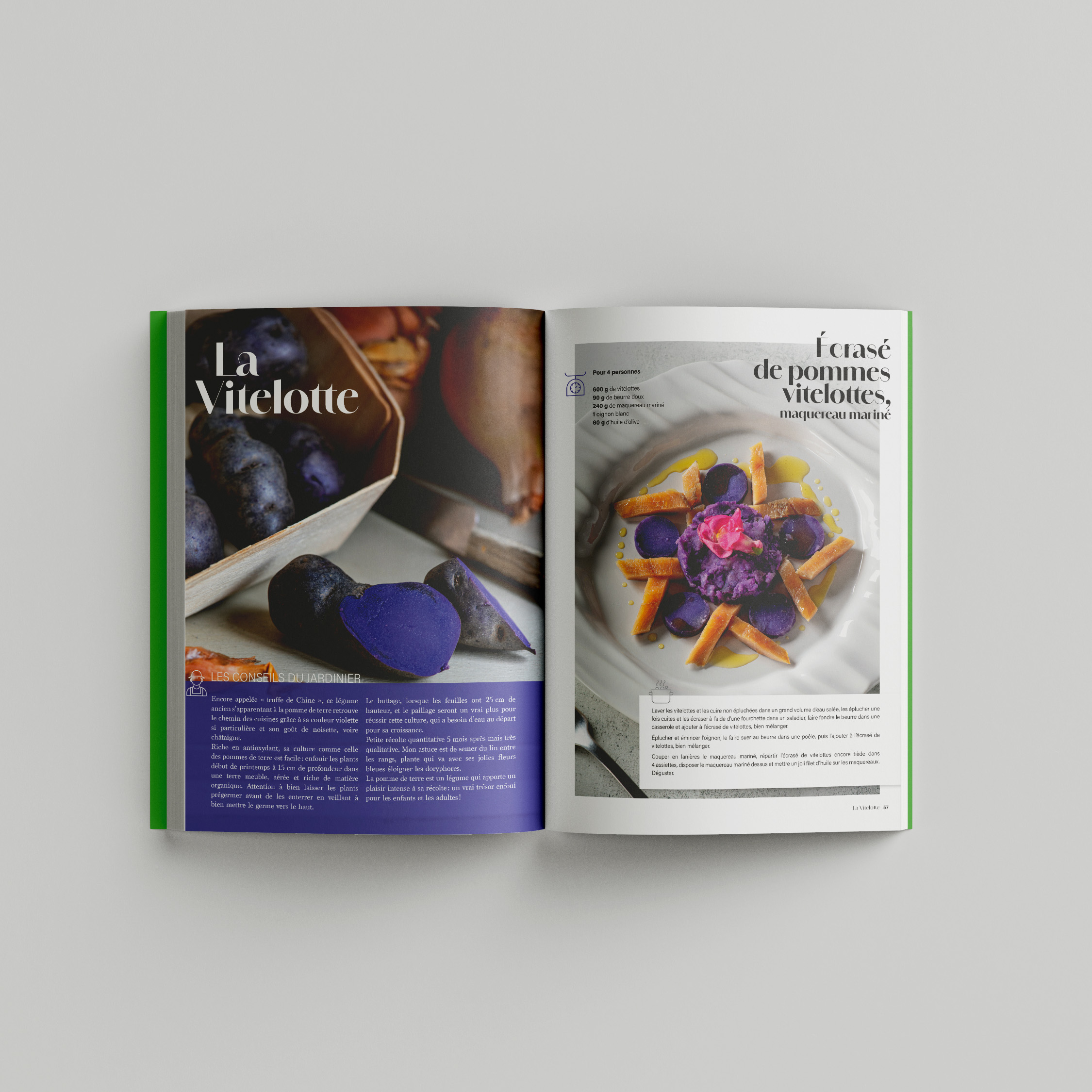 FAN DES SAISONS Tome 1 int