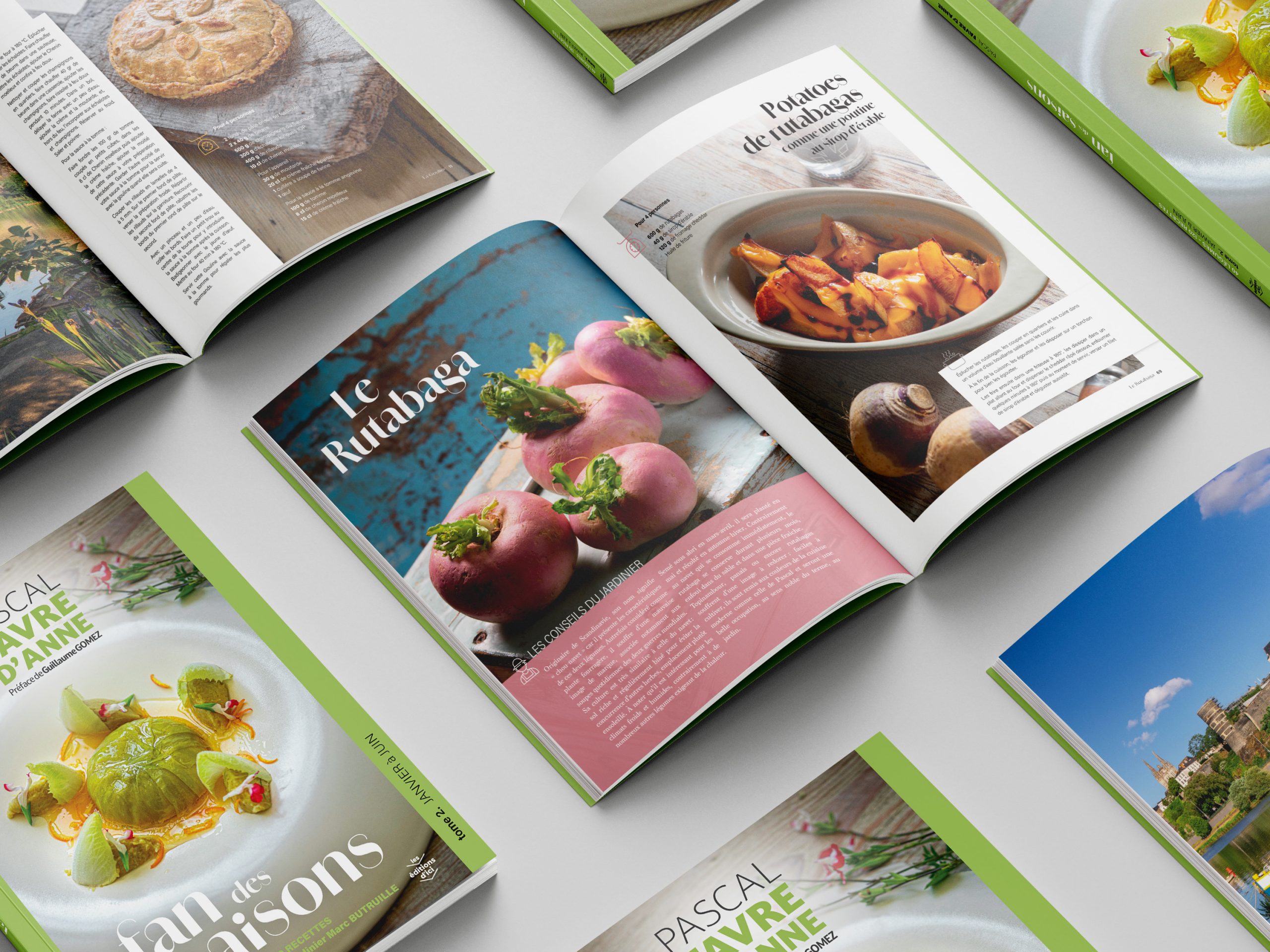 Dipt FAN DES SAISONS Tome 2 multi